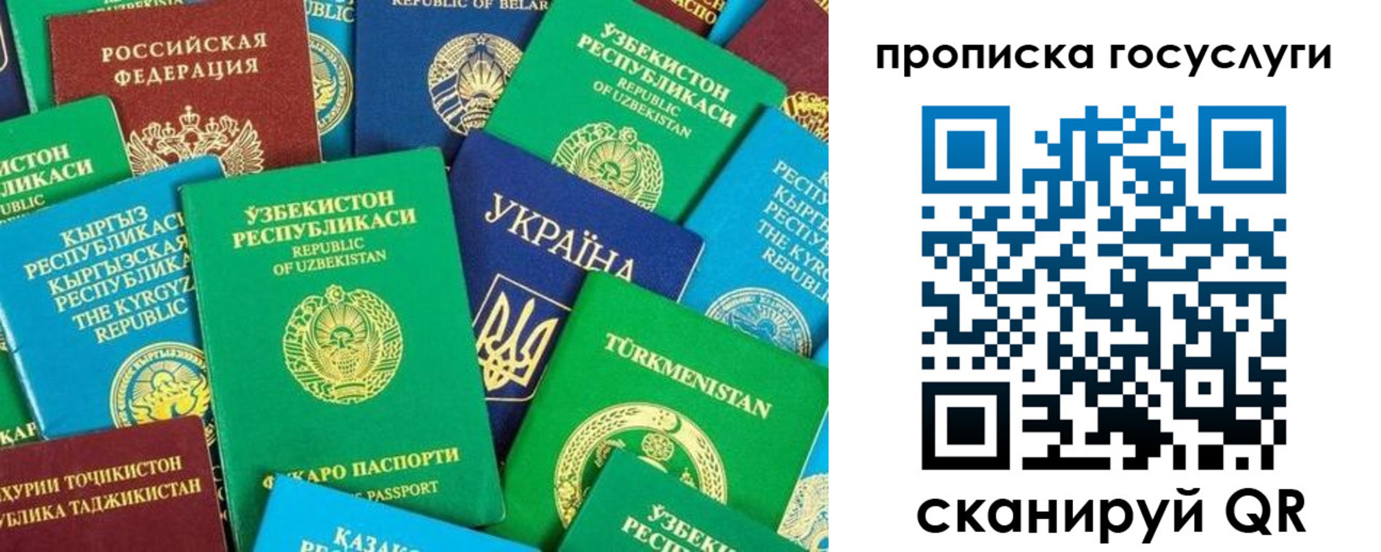 временная регистрация для всех в Дальнегорске